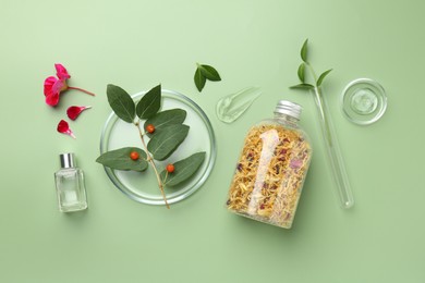 Petri dishes with leaves, flowers, cosmetic products and berries on green background, flat lay