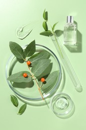 Petri dishes with leaves, cosmetic products and berries on green background, flat lay