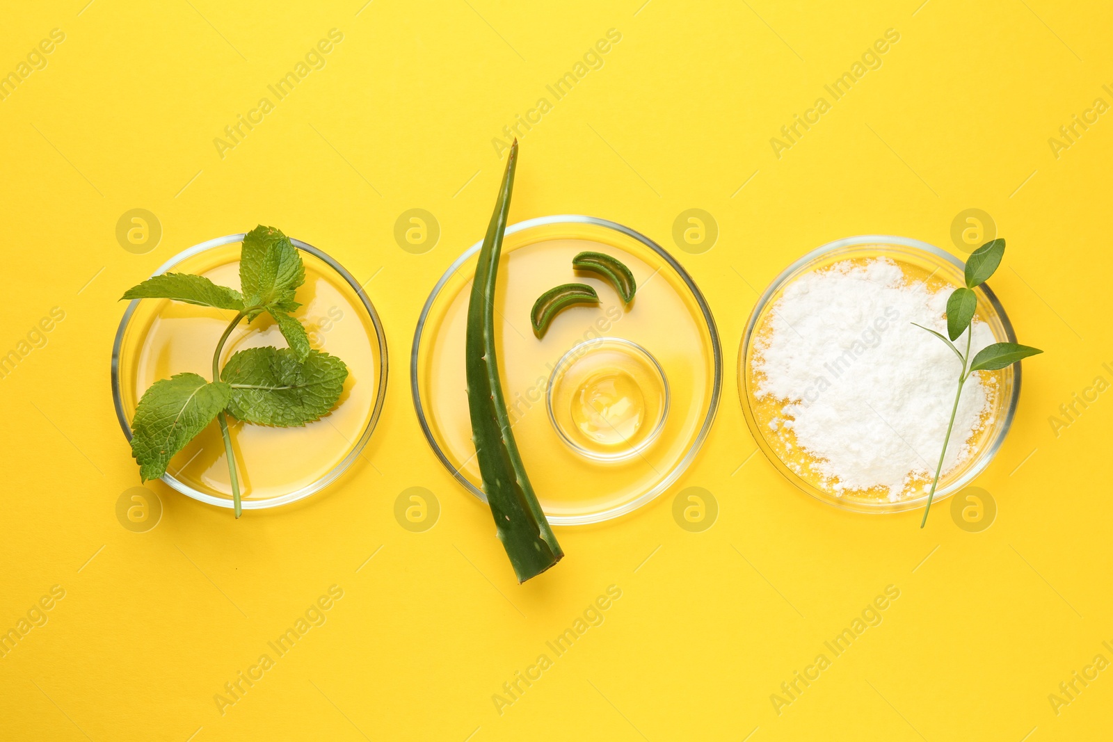 Photo of Petri dishes with green leaves and cosmetic products on yellow background, flat lay