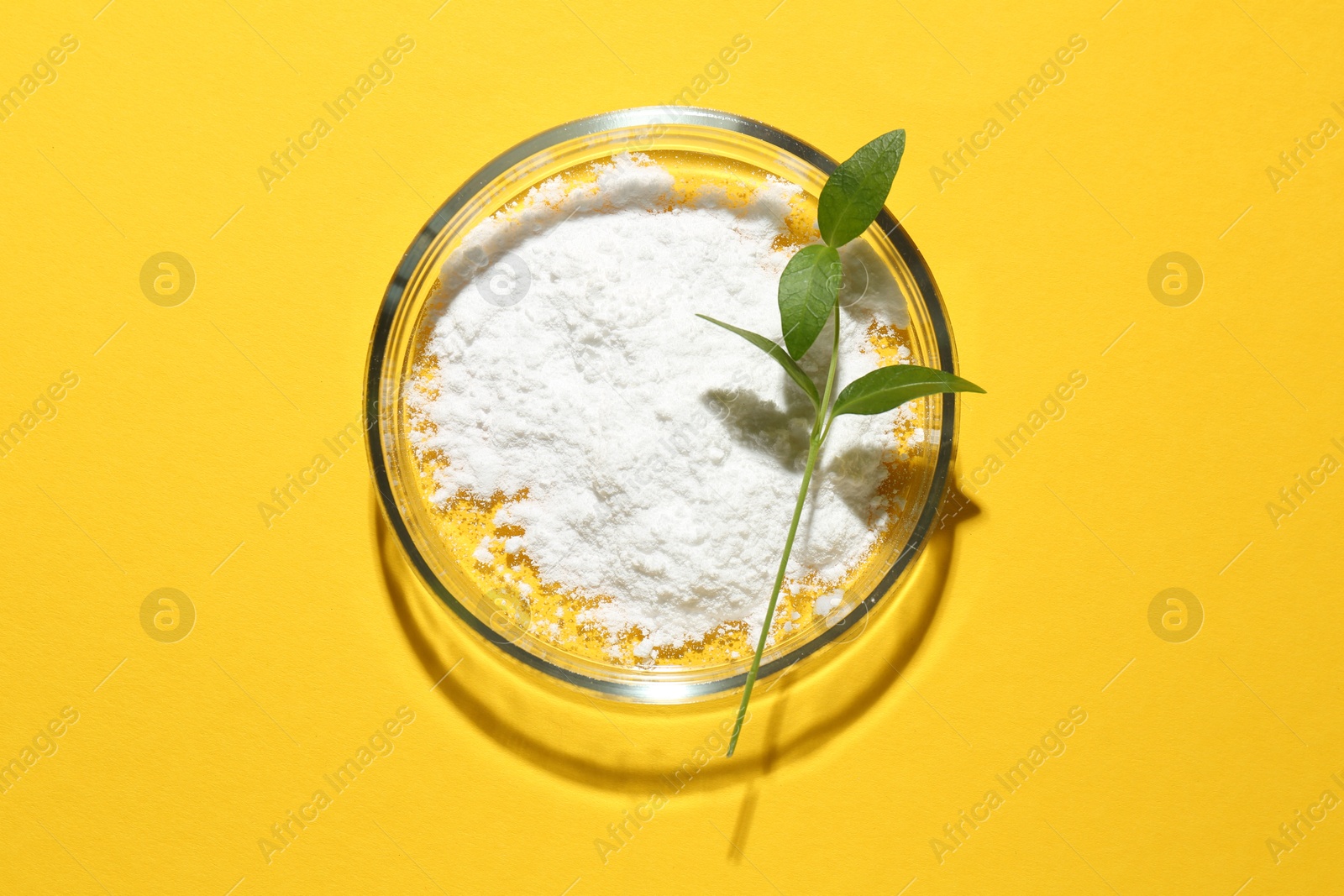 Photo of Petri dish with green twig and cosmetic product on yellow background, top view