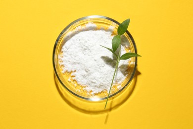 Petri dish with green twig and cosmetic product on yellow background, top view