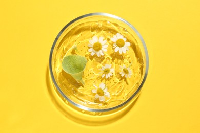 Petri dish with chamomile flowers, leaf and gel yellow background, top view