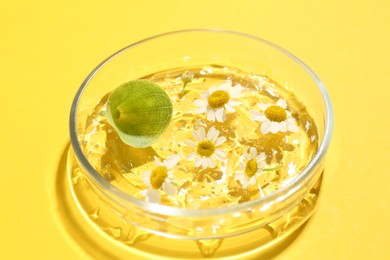 Photo of Petri dish with chamomile flowers, leaf and gel yellow background, closeup