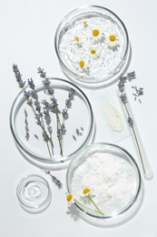 Photo of Petri dishes with lavender, chamomile flowers and cosmetic products on white background, flat lay