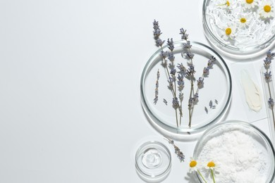 Photo of Petri dishes with lavender, chamomile flowers and cosmetic products on white background, flat lay. Space for text