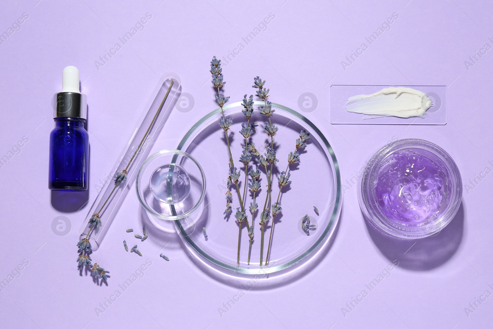 Photo of Petri dishes with lavender flowers and cosmetic products on violet background, flat lay