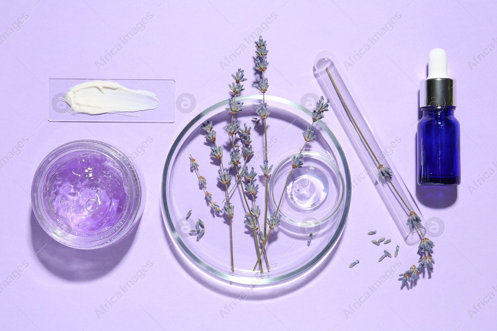 Photo of Petri dishes with lavender flowers and cosmetic products on violet background, flat lay