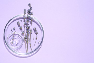 Photo of Petri dishes with lavender flowers and gel on violet background, top view. Space for text