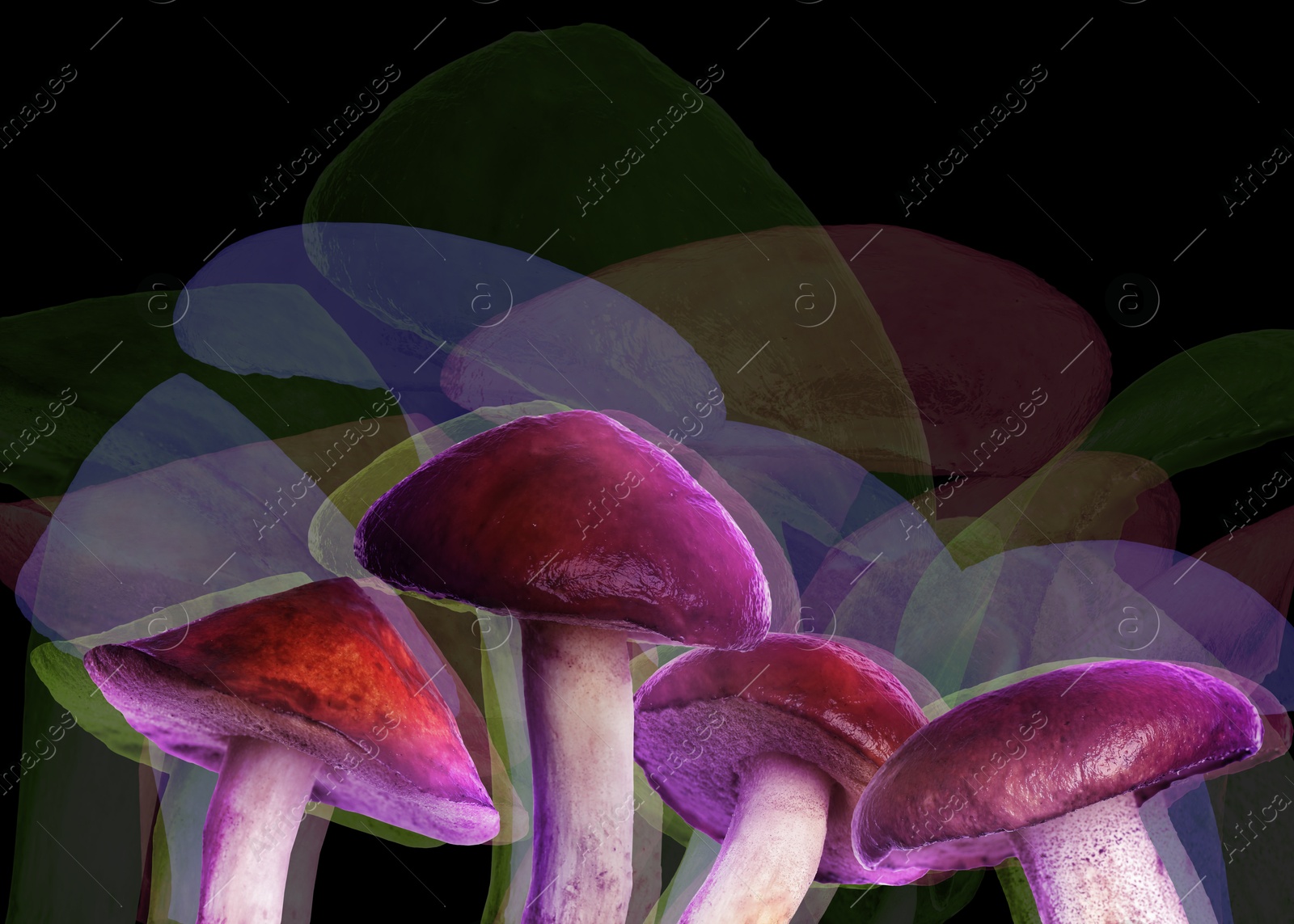 Image of Hallucinogenic mushrooms on black background, glitch effect