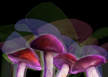 Hallucinogenic mushrooms on black background, glitch effect