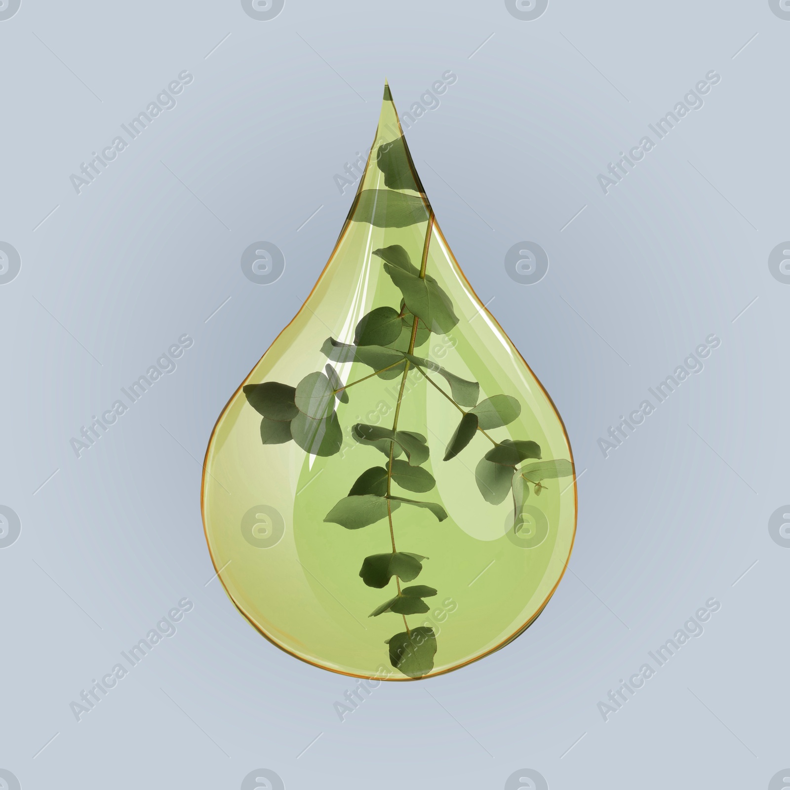 Image of Eucalyptus oil drop with branch inside on grey gradient background