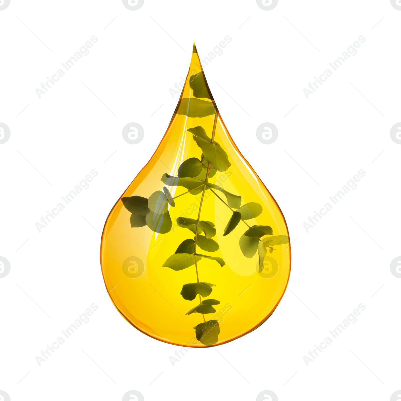 Image of Eucalyptus oil drop with branch inside on white background