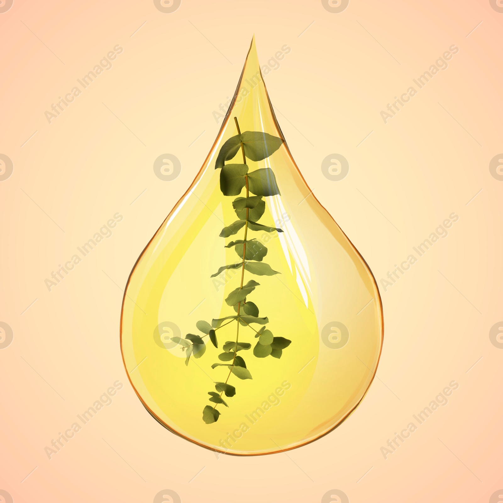 Image of Eucalyptus oil drop with branch inside on beige pink background