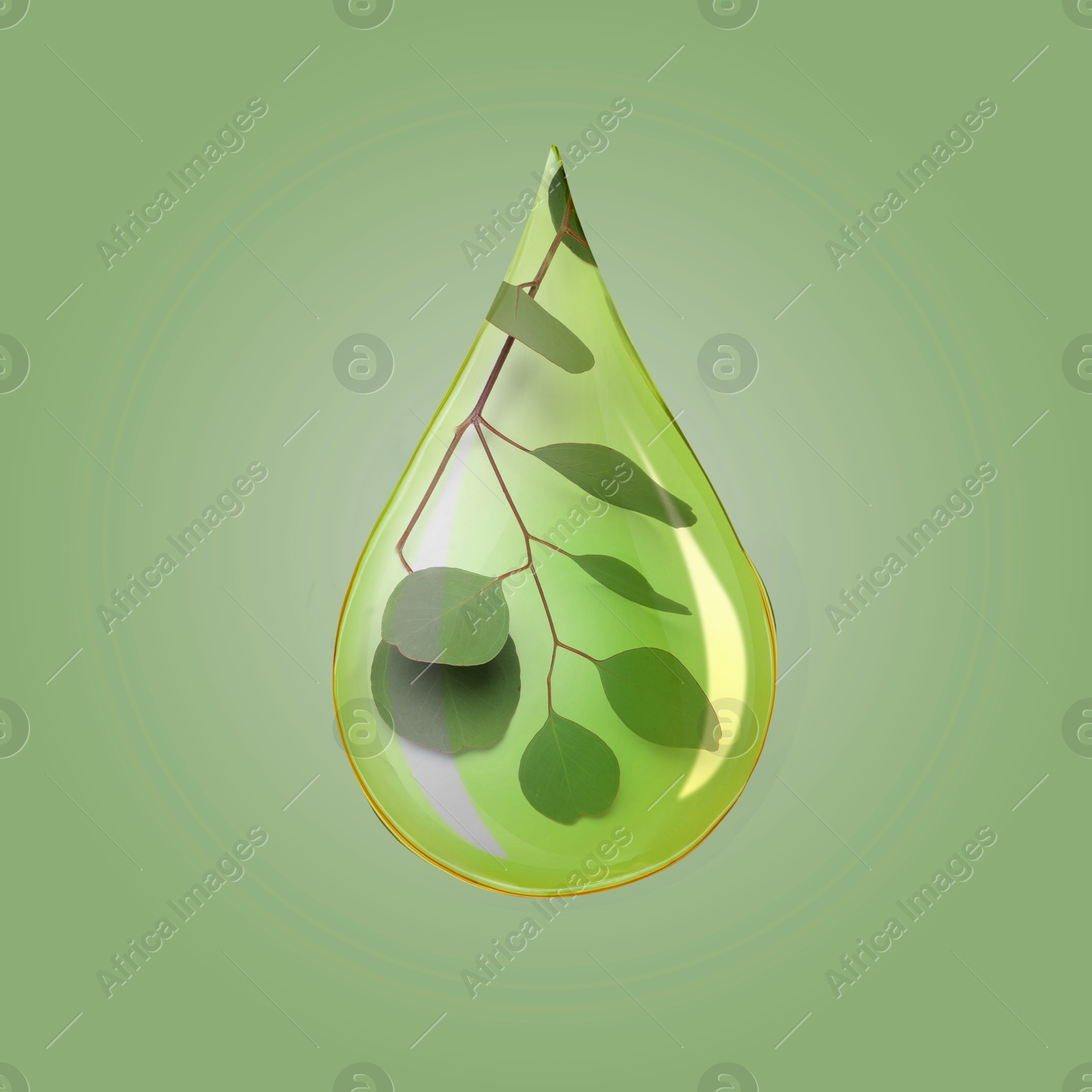 Image of Eucalyptus oil drop with branch inside on green background