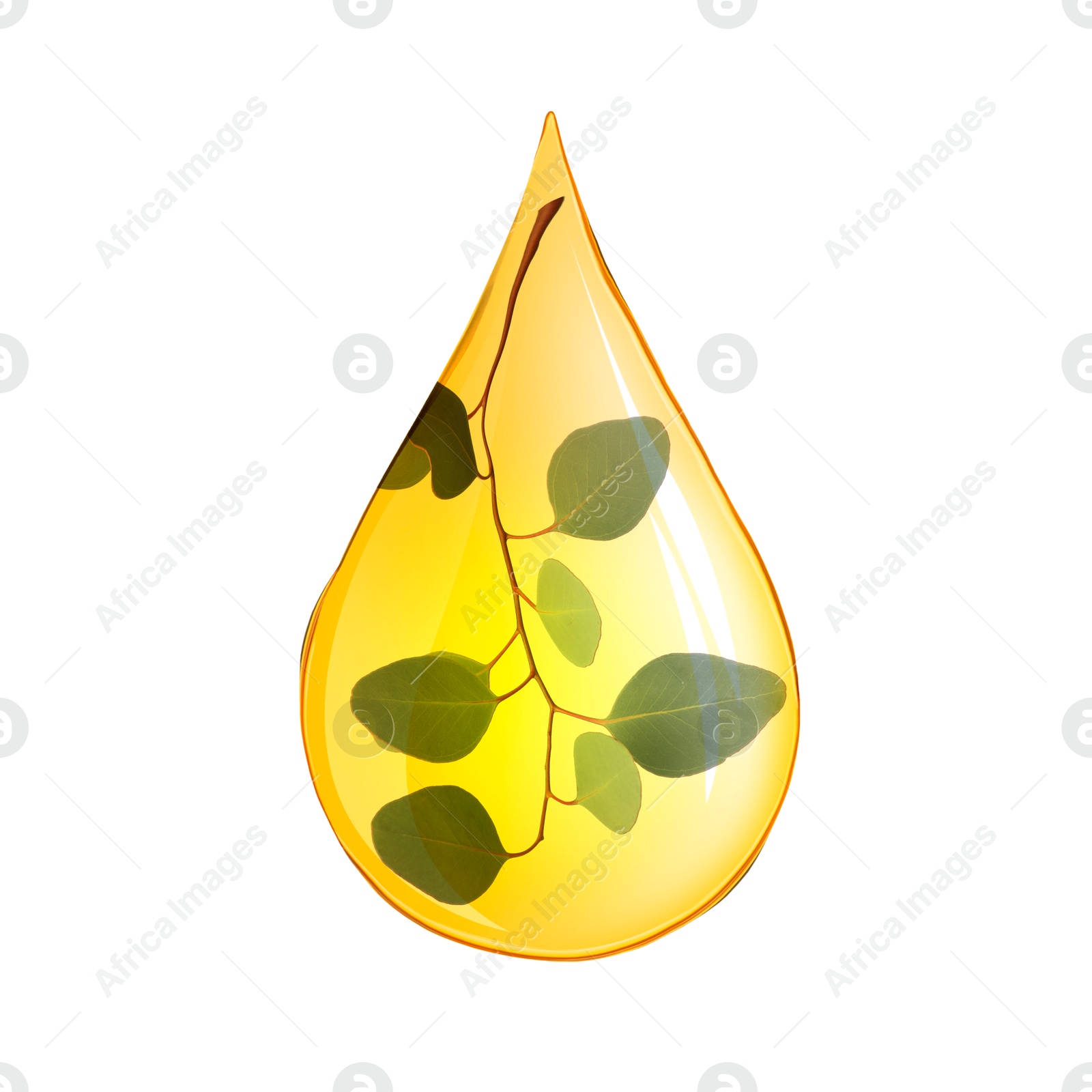 Image of Eucalyptus oil drop with branch inside on white background