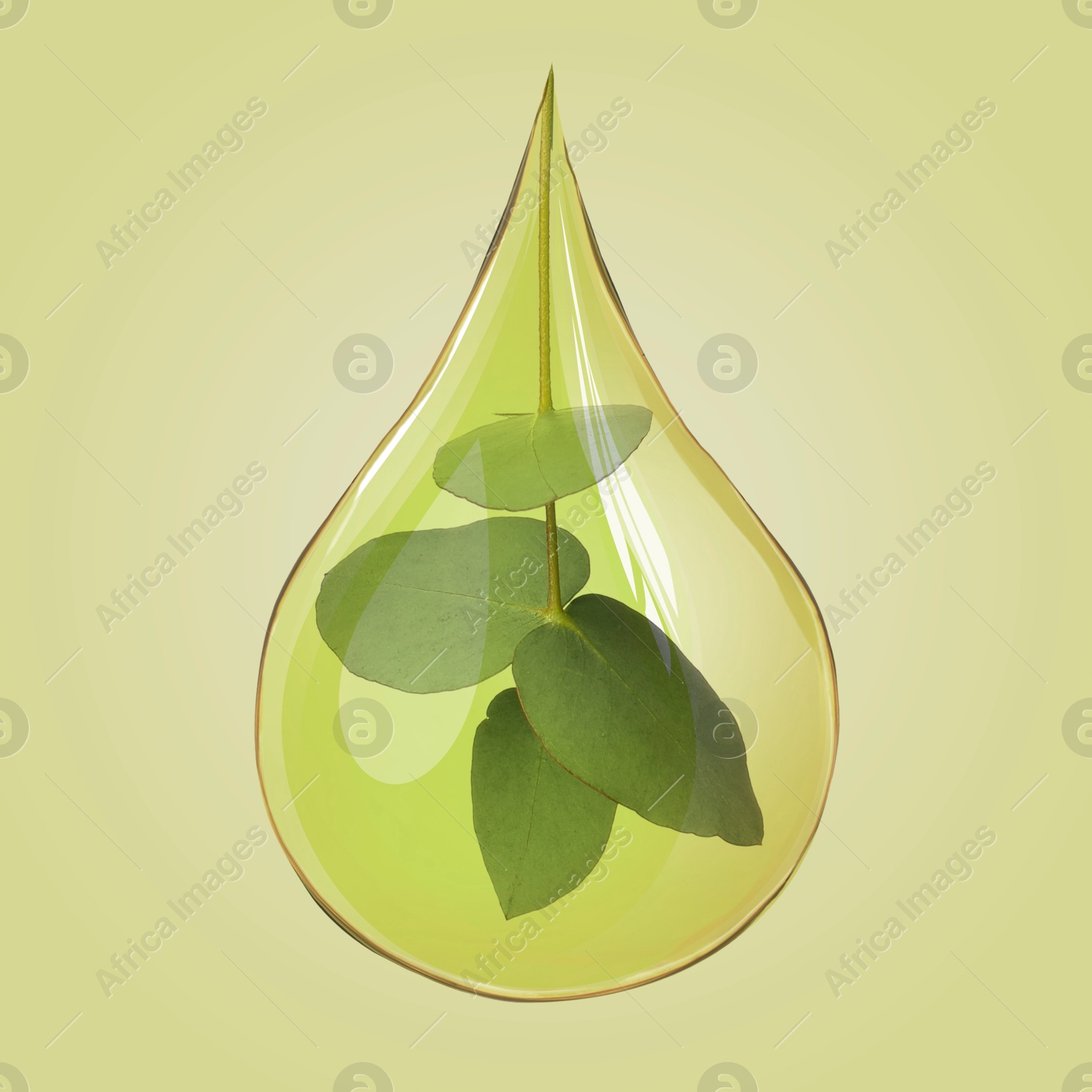 Image of Eucalyptus oil drop with branch inside on olive background