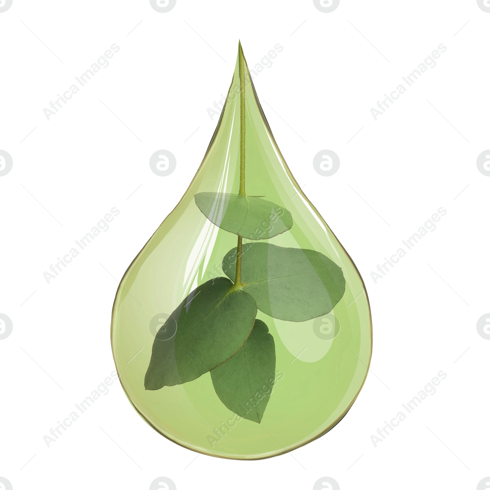 Image of Eucalyptus oil drop with branch inside on white background