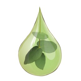 Image of Eucalyptus oil drop with branch inside on white background