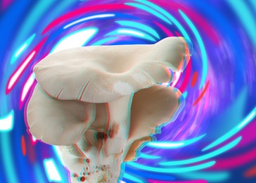 Hallucinogenic mushrooms on bright background, glitch effect