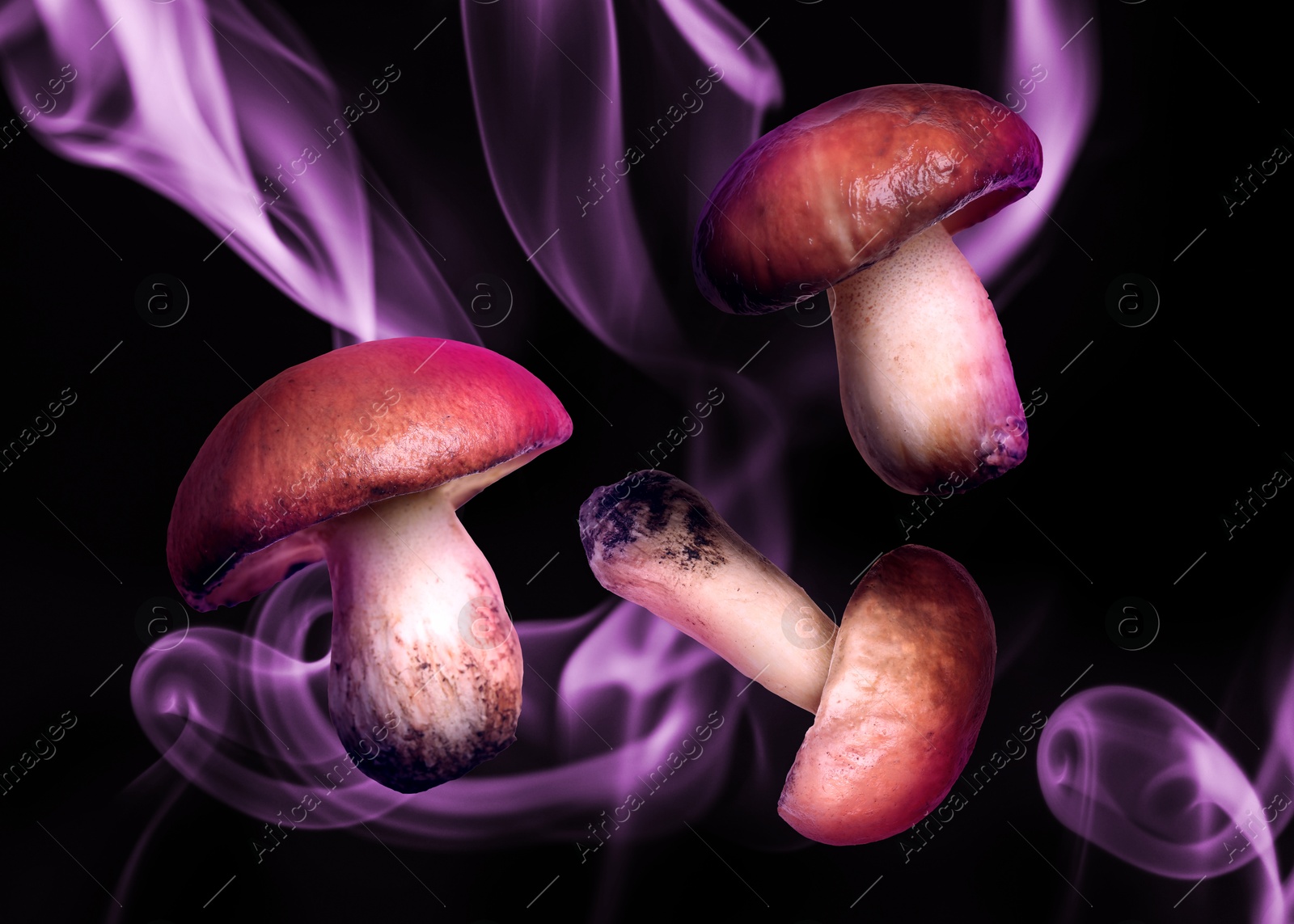 Image of Hallucinogenic mushrooms in air on black background with smoke