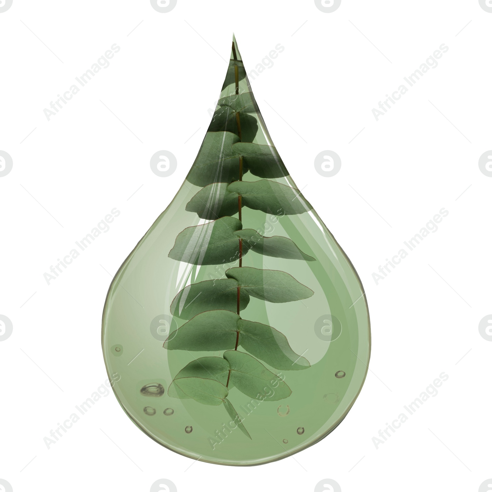 Image of Eucalyptus oil drop with branch inside on white background