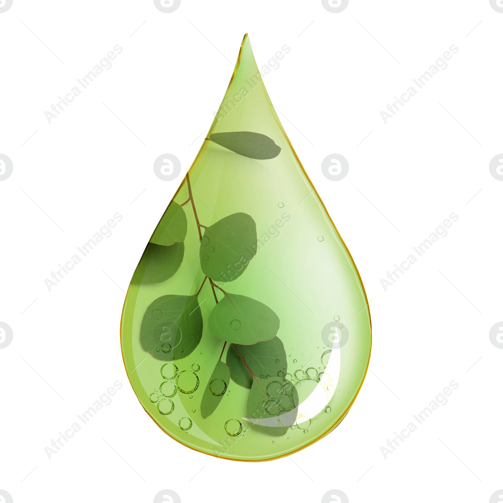 Image of Eucalyptus oil drop with branch inside on white background