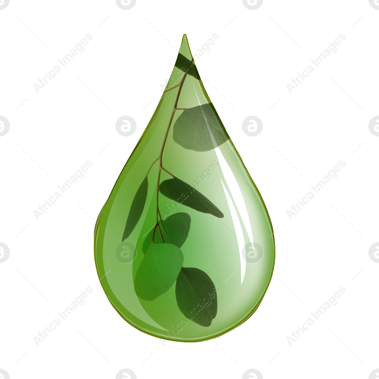 Image of Eucalyptus oil drop with branch inside on white background