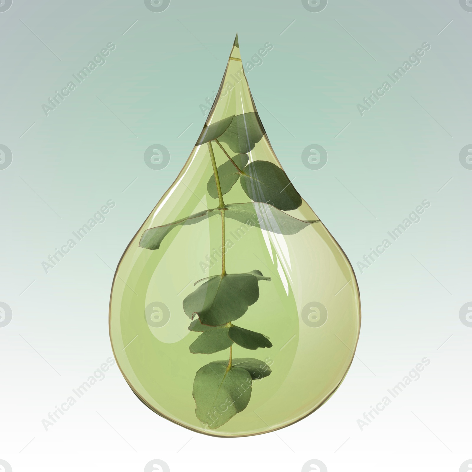 Image of Eucalyptus oil drop with branch inside on color gradient background