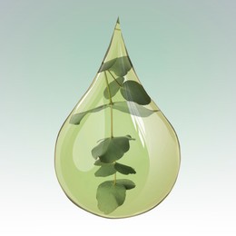 Image of Eucalyptus oil drop with branch inside on color gradient background