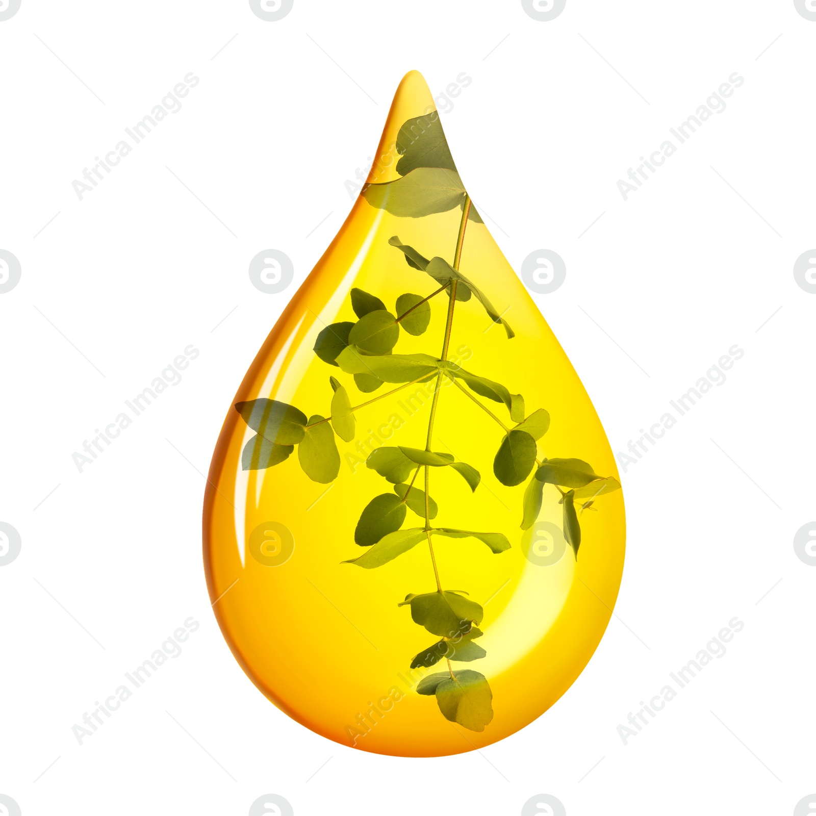 Image of Eucalyptus oil drop with branch inside on white background