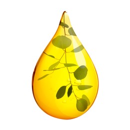 Image of Eucalyptus oil drop with branch inside on white background