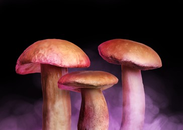 Hallucinogenic mushrooms on black background with smoke