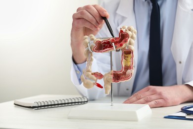 Photo of Doctor showing model of large intestine at white wooden table indoors, selective focus