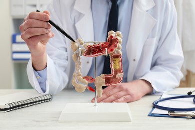 Doctor showing model of large intestine at white wooden table in clinic, closeup