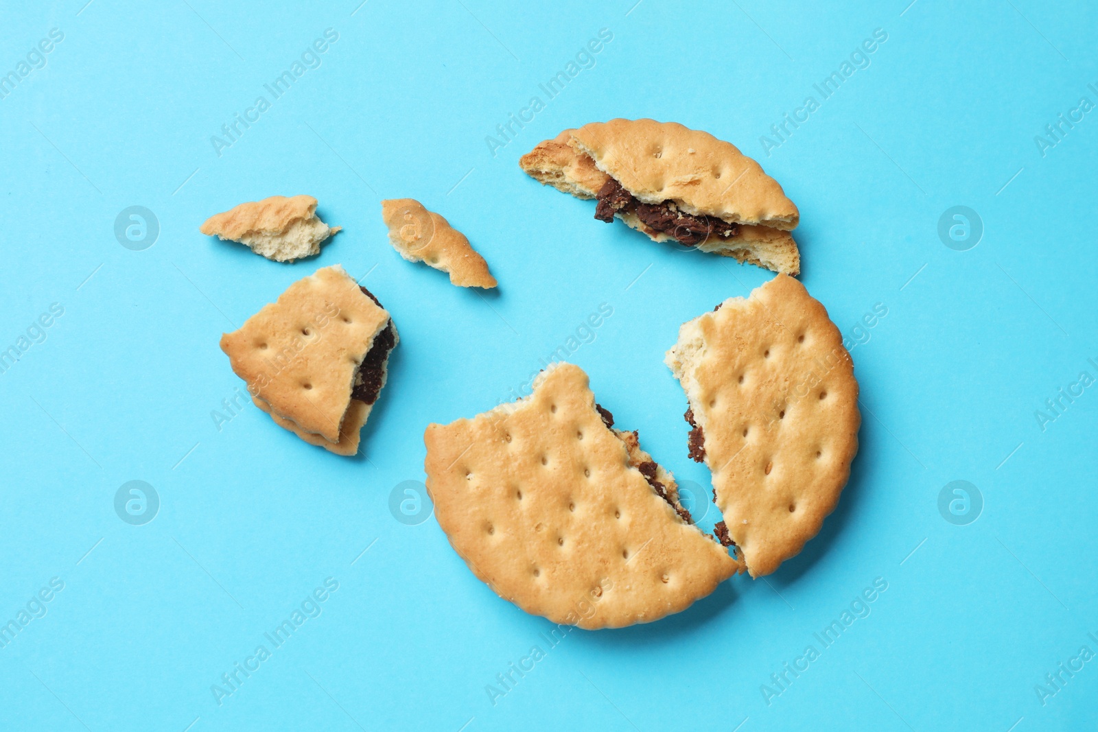 Photo of Pieces of tasty sandwich cookie on light blue background, top view