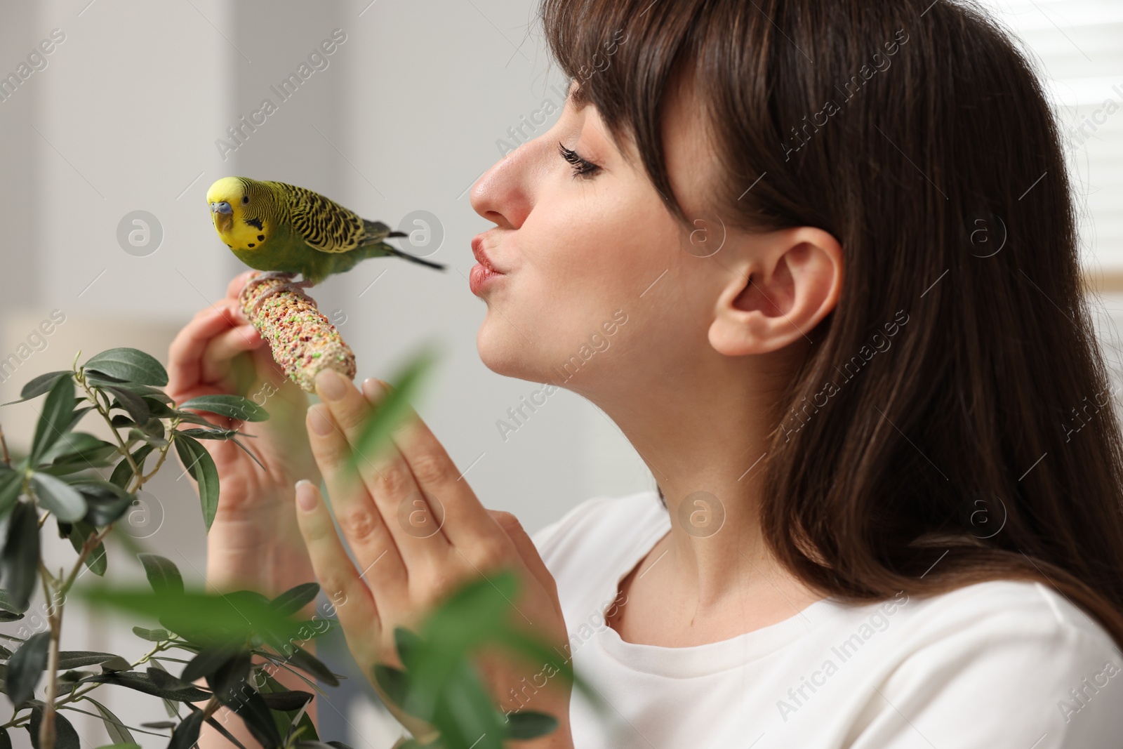 Photo of Woman with bright parrot indoors. Exotic pet