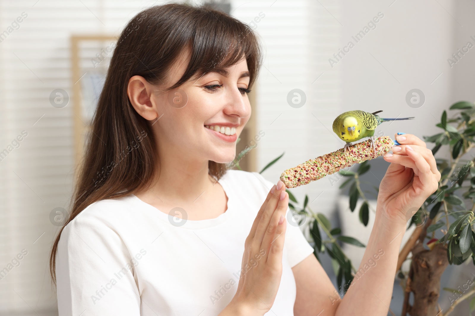 Photo of Woman feeding bright parrot with bird treat indoors. Exotic pet