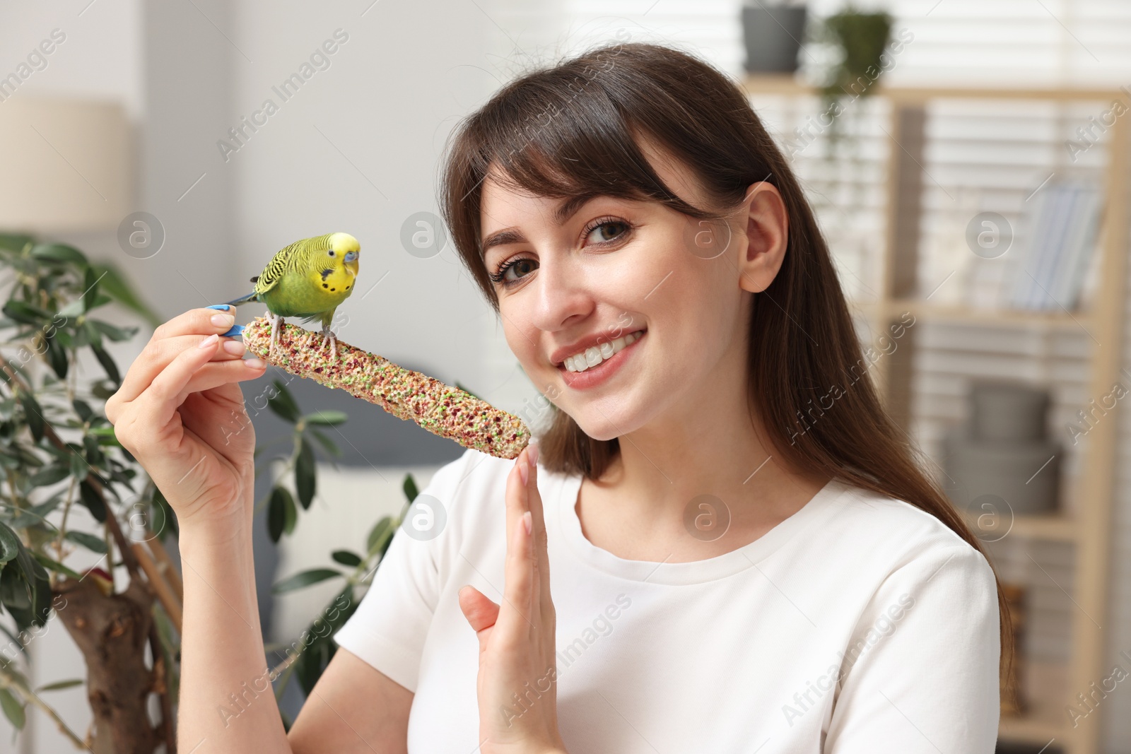 Photo of Woman feeding bright parrot with bird treat indoors. Exotic pet