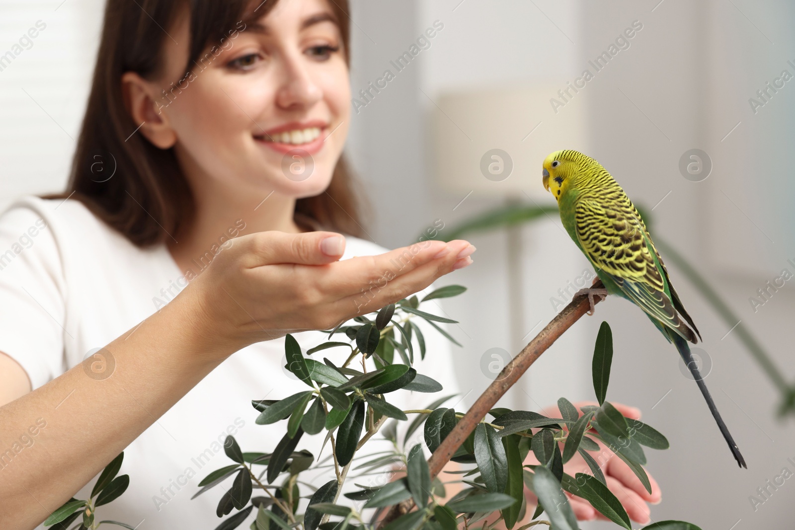 Photo of Woman feeding bright parrot indoors, selective focus. Exotic pet