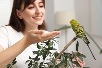 Woman feeding bright parrot indoors, selective focus. Exotic pet