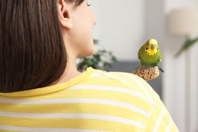 Photo of Woman feeding bright parrot with bird treat indoors, back view. Exotic pet