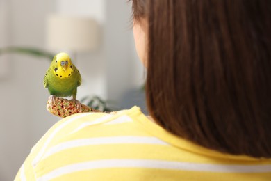 Photo of Woman feeding bright parrot with bird treat indoors, back view. Exotic pet