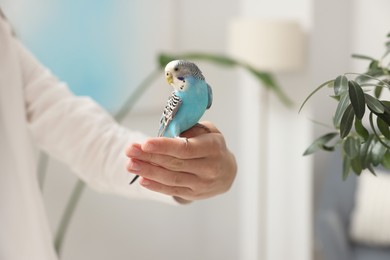 Woman with bright parrot at home, closeup