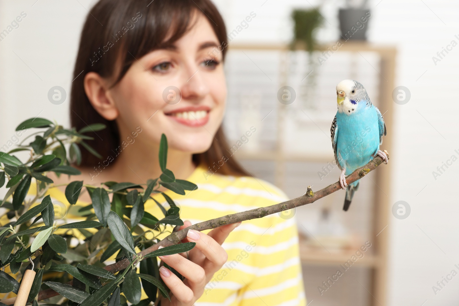 Photo of Woman with bright parrot indoors, selective focus. Exotic pet