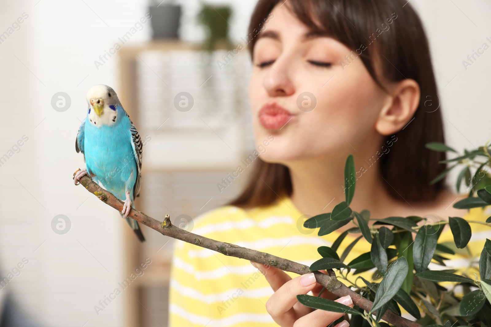 Photo of Woman with bright parrot indoors, selective focus. Exotic pet