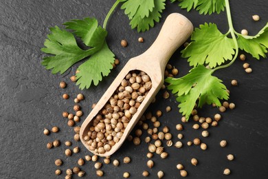 Scoop with dried coriander seeds and green leaves on dark gray textured table, flat lay