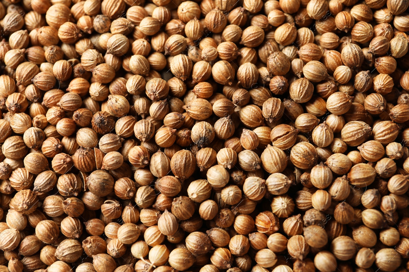 Photo of Dried coriander seeds as background, top view