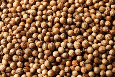 Dried coriander seeds as background, top view