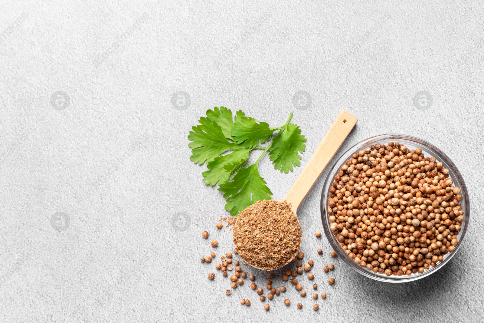 Photo of Dried coriander seeds in bowl, powder and green leaves on grey table, top view. Space for text