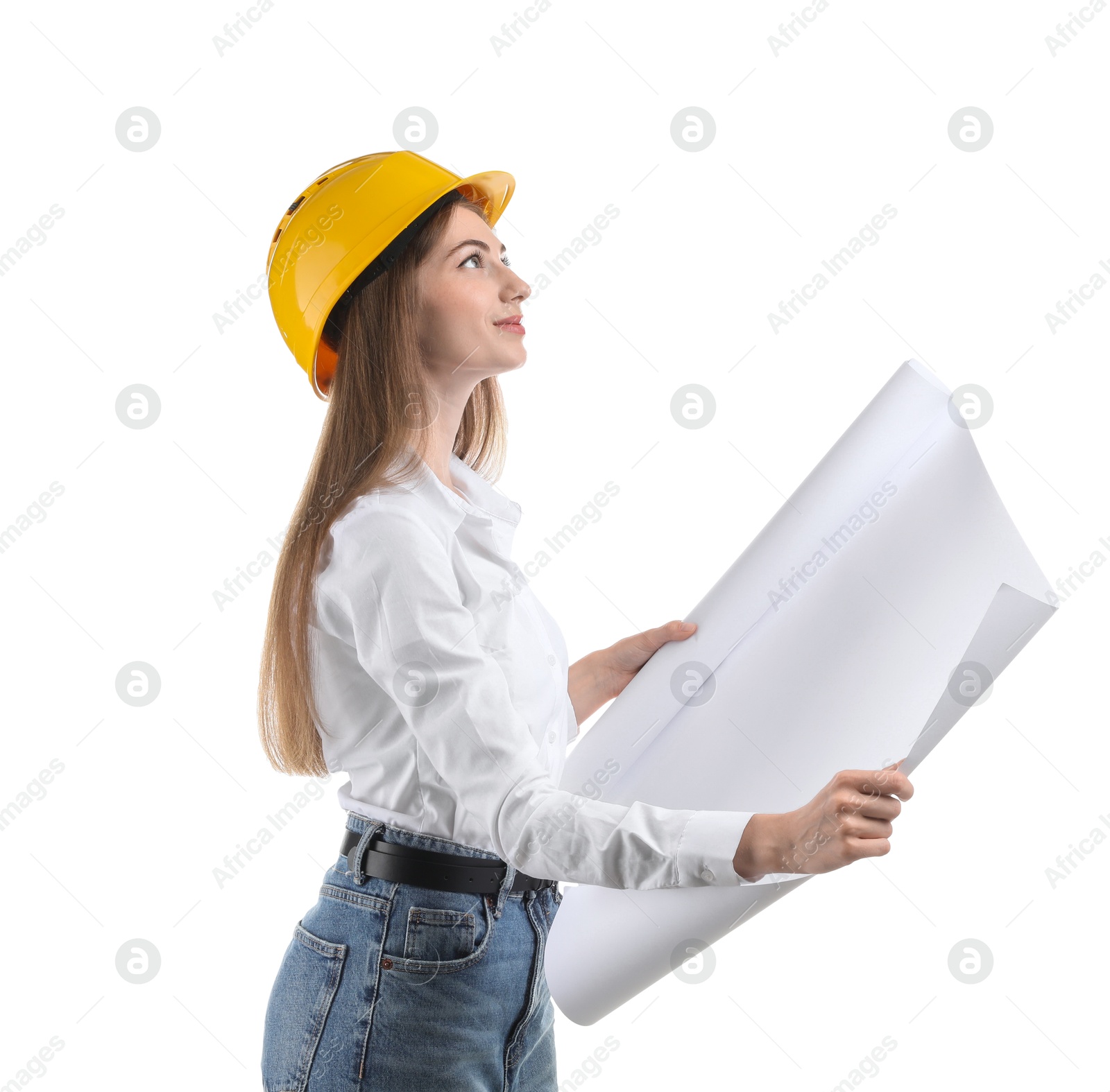 Photo of Engineer in hard hat with draft on white background